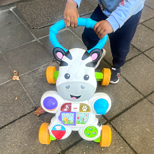 Fisher price zebra - fisher-price,